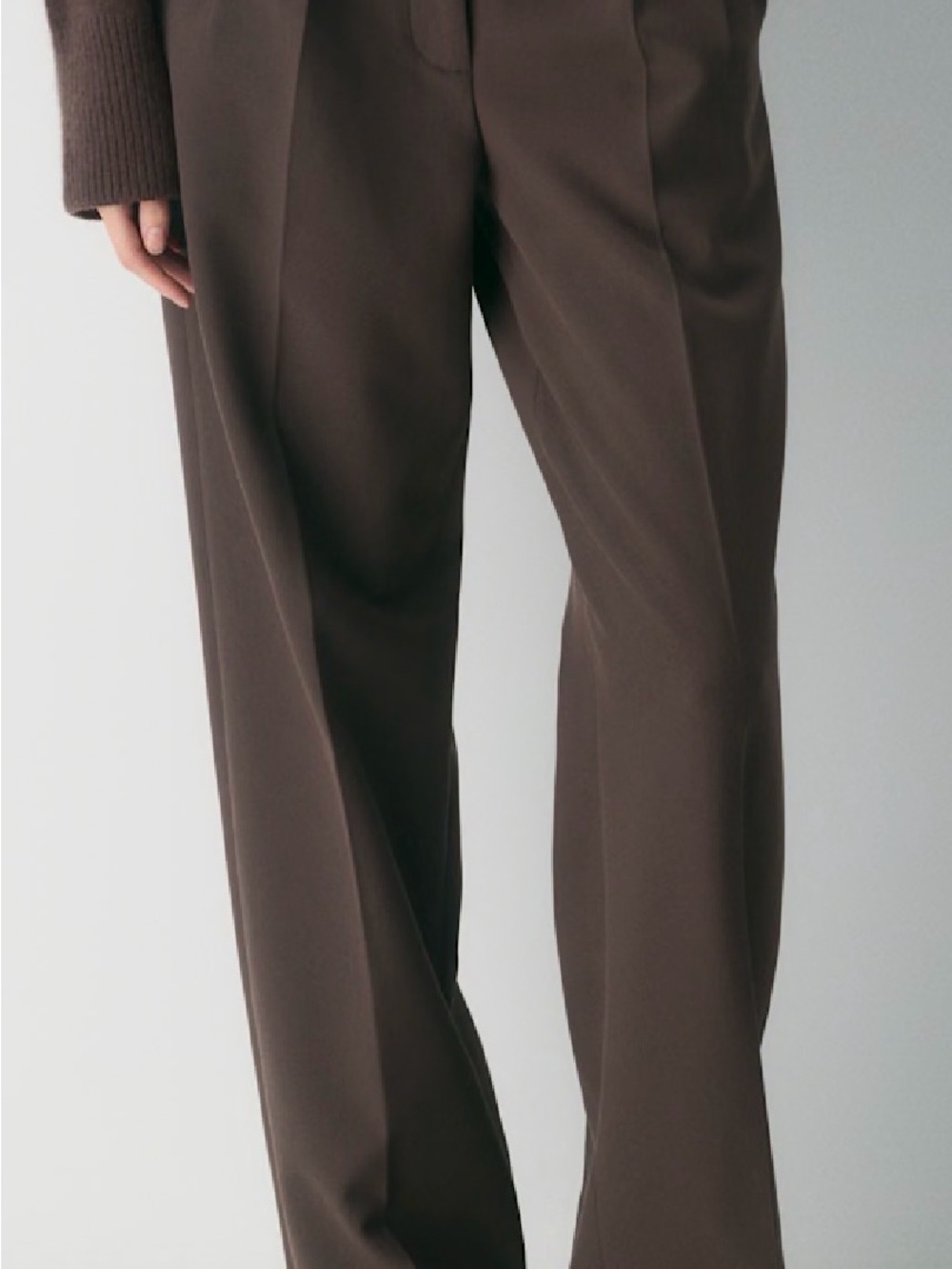 Aritzia Effortless Wide-Leg High-Rise Trousers in Dark Brown